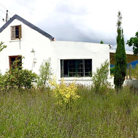 Designer Farm Cottage on Farm Franschhoek Eksteriør bilde