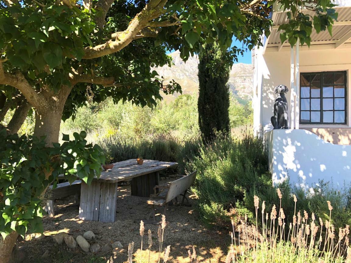 Designer Farm Cottage on Farm Franschhoek Eksteriør bilde
