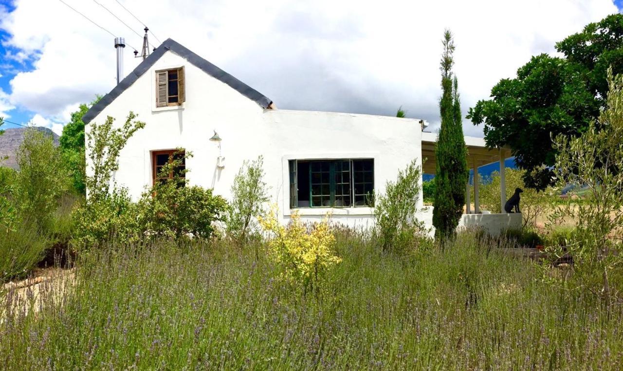 Designer Farm Cottage on Farm Franschhoek Eksteriør bilde